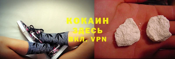 твердый Белокуриха