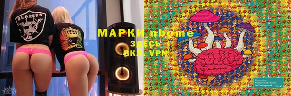 стаф Баксан