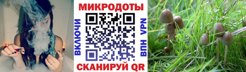 Псилоцибиновые грибы прущие грибы  закладка  Бузулук 
